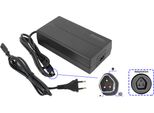 Caricabatterie Elettrico Con Adattatore 48V 2A Ac Per Fischer Viator Eth/Etd 2222, Viator Eth/Etd 2206