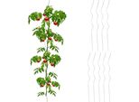 Set Relaxdays Di 10 Bastoncini A Spirale Per Pomodori