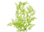 Fiore Artificiale Clayre & Eef 80 Cm Plastica Verde