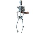 Grande Scheletro Resteq 180 Cm Modello Anatomico Umano, Dettagli Precisi