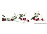 Set Punto Croce Luca-S "Ciliegia"", Motivo A Contare, 55,5X15,5Cm"