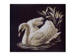 Rto Set Punto Croce "Swan"" M211, Motivo Di Conteggio, 40X35 Cm"