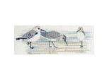 Set Punto Croce Bothy Threads "Uccelli - Trampolieri"", 30X11Cm, DWBB03, Schema Contato"