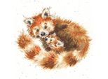 Bothy Threads Set Per Punto Croce "Tree Hugger"", Schema Per Il Conteggio, Xhd89, 26X26Cm"
