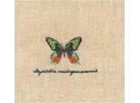 Le Bonheur Des Dames Petit Point Kit Punto Croce "Miniatura Farfalla Verde"", Contato, 7X4Cm"