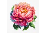 Luca-S Kit Punto Croce Contato Con Telaio "Coral Charm Peony"", 12X12Cm"