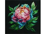 Luca-S Kit Per Ricamo A Punto Croce Con Telaio "Abalone Paerl Peony"", Schema Contato, 12X12Cm"