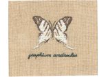 Le Bonheur Des Dames Petit Point Kit Punto Croce "White Butterfly Miniature"", Contato, 5X5.5Cm"