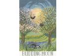 Confezione Da Ricamo A Punto Croce Bothy Threads "Rising Moon"", Schema Per Il Conteggio, XDD1, 18X27Cm"