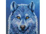 Kit Per Ricamo A Punto Croce Bothy Threads "The Menagerie: Mystique"", Schema Per Il Conteggio, XRF9, 26X26Cm"