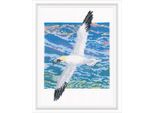 Kit Punto Croce Contato Rto "Abbracciare Il Mare"", 14,5X20 Cm"