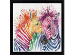 Kit Punto Croce Contato Design Works "Zebras"", 30X30Cm"