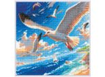 Confezione Da Ricamo A Punto Croce Riolis "Brezza Marina"", Schema Contato, 20X20Cm"