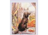 Kit Riolis Per Punto Croce Contato "Andiamo A Fare Una Passeggiata"", 18X24Cm, Fai Da Te"