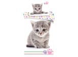 Biancheria Da Letto Per Bambini Reversibile Motivo Gattino Grigio Zampe Colorate Piumone 140 X 200 + Cuscino 70 X 90 Cm, 100% Cotone Con Zip