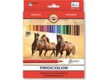 KOH-I-NOOR Matite Colorate Triangolari Triocolor 3145 - 36 Pz.