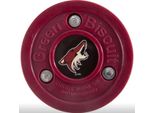 Biscotto Verde Puk Nhl, Arizona Coyotes