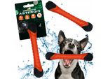 Cane Comete Asteroide Arancione S