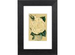 Cornice Goldbuch Rustiq Nero 10X15 Cm Con Passe-Partout 7X10 Cm