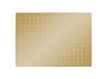 Vidaxl Doccia A Pioggia In Acciaio Inox 40X30 Cm Rettangolare Golden