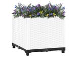 Vidaxl Letto Rialzato 40X40X38 Cm Polipropilene