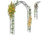 Costway Arco Di Rose Semicircolare, Arco Da Giardino In Metallo Per Piante Rampicanti, 2 Mezzi Archi Da Giardino, Supporto Per Rampicanti 150X39X250Cm Nero