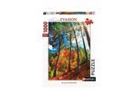 Nathan Puzzle Ocres De Roussillon - Puzzle Da 1000 Pezzi Per Adulti