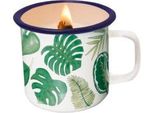 Foglie Di Candela In Una Tazza - Joyin