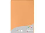 Carta A4 Pollen 210G Clementine 25 Fogli