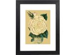 Cornice Goldbuch Rustiq Nero 18X24 Cm Con Passe-Partout 13X18 Cm