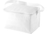 Borsa Frigo Bullet Spectrum Per 6 Lattine PF113 (20 X 15 X 12 Cm) (Bianco)