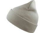 Atlantis Wind Berretto A Doppia Pelle Con Risvolto AB228 (Taglia Unica) (Grigio Chiaro)