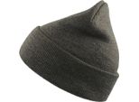 Atlantis Wind Berretto A Doppia Pelle Con Risvolto AB228 (Taglia Unica) (Grigio)