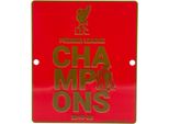 Liverpool Fc - Cartello Da Vetrina Premier League Champions TA7403 (Taglia Unica) (Rosso/Oro)