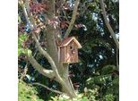 Vogelhaus Natur