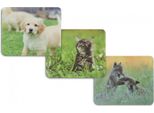Hama 00126872 Giocattolo Per Animali Hama Per Gli Amanti Degli Animali