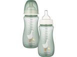 Canpol Babies | Bottiglia Anticolica Easy Start 300 Ml - Motivo Oca - Design Verde - Comodo E Sicuro