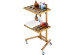 Succebuy Carrello Da Laboratorio A 2 Livelli In Acciaio Inox, Carrello Multiuso Con 2 Vassoi, Carrello Medico Mobile Con 4 Ruote Silenziose, Carrello Per Laboratorio, Clinica, Ospedale, Salone, Oro