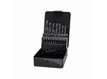 Ironside 230-173 Set Di Punte Hss 19 Pezzi 1-10 Mm/0,5, Grigio Argento (1 Set)