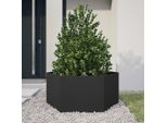 Vidaxl Fioriera Nera Esagonale 104X90X45 In Acciaio
