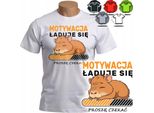 Maglietta Da Uomo Choice Patterns - Motivation Capybara Gift - 3Xl