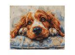 Luca-S Kit Per Ricamo A Punto Croce "Cocker Spaniel"", Schema Contato, 32X25Cm"