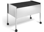 Durable Carrello Per Cartelle Sospese Economy Duo 100 A4, Argento, 308223