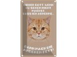 Vianmo Insegna Di Latta 30X20 Cm Katze Lieber Gott Wenn Du Schon Nicht
