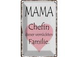 Vianmo Insegna Di Latta 18X12 Cm Mama Chefin VerrüCkter Familie
