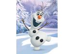 Brandmac Disney Frozen Elsa Anna Olaf Coperta Accogliente 130 X 170 Cm