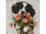 Luca-S Kit Per Ricamo A Punto Croce "Il Cucciolo Di Cocker Spaniel"", Schema Contato, 27X27Cm"