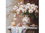 Luca-S Kit Per Ricamo A Punto Croce "Collezione Oro, L'eleganza Dell'orchidea"", Schema Contato, 32X32Cm"