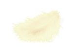 Piume Meyco Marabu Color Crema 17 Pezzi Lunghi Circa 10-12 Cm