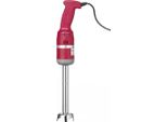 Frullatore A Immersione Hendi Profi Line 250 Con 15000 Giri/Min E 20 Litri Con Frullatore Da 250 Mm
